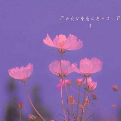 蒙牛发布2025年财报：进化强韧性，蓄力迎增长